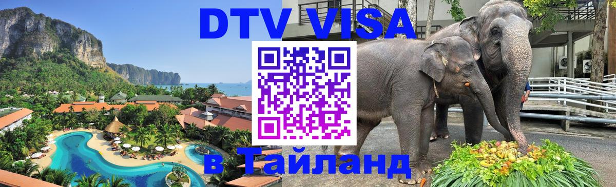 Оформление DTV визы под ключ: стоимость и тарифы, только загранпаспорт - 18.11.2025 